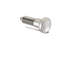 GN 613-NI-Indexing Plungers